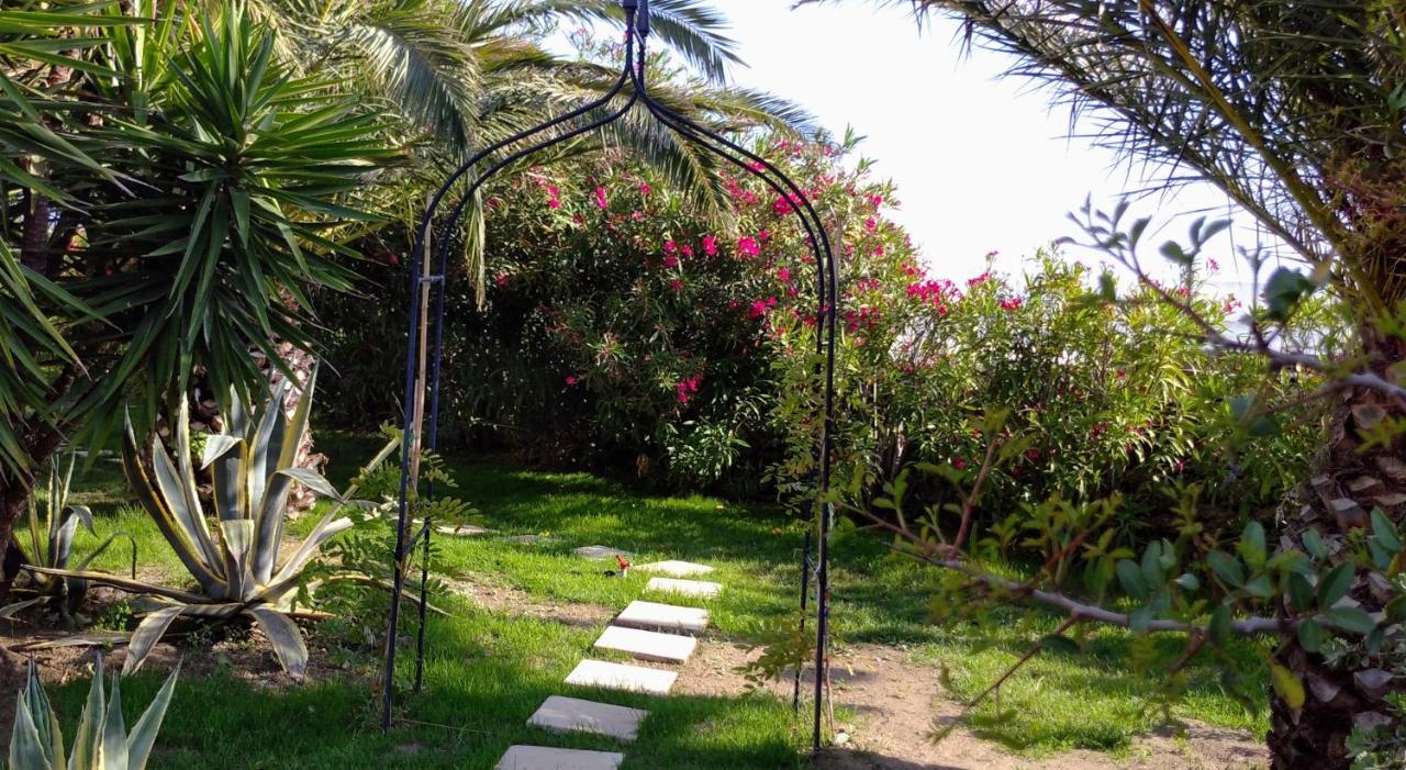 Ancient Meropia, Apollonia المظهر الخارجي الصورة