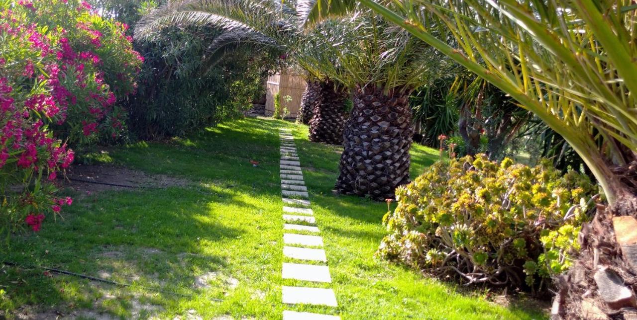 Ancient Meropia, Apollonia المظهر الخارجي الصورة