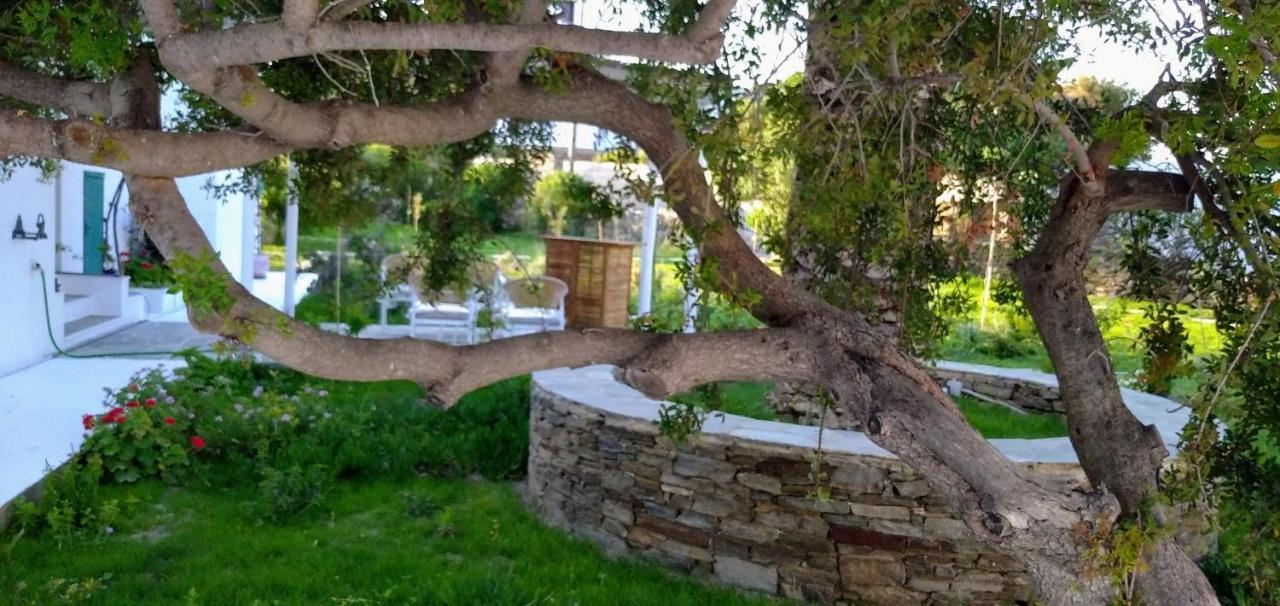 Ancient Meropia, Apollonia المظهر الخارجي الصورة