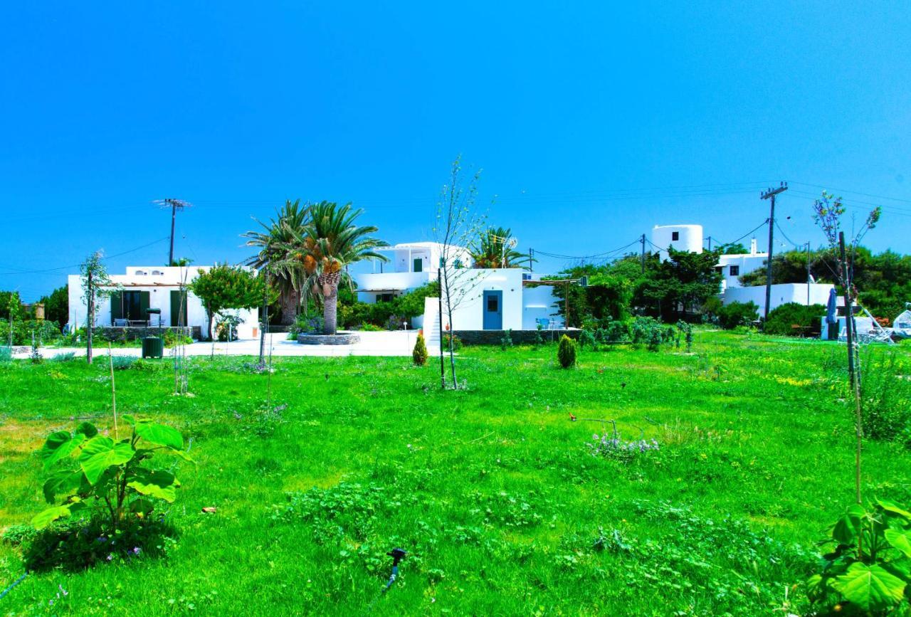 Ancient Meropia, Apollonia المظهر الخارجي الصورة